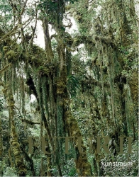 Thomas Feuerstein FUTUR II Thomas Feuerstein FUTUR II