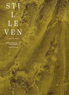 PayerGabriel_Stilleven