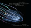 wakolbinger-ransmayr_blackwater galaxies